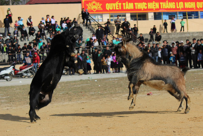 Lựa chọn miếng đánh song phi lao thẳng vào đầu đối thủ