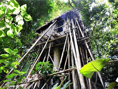 Nhà của con trai “người rừng” .