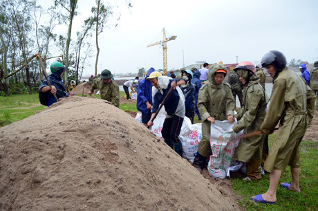 Gia cố đê Lò Mắm tại TP Móng Cái. Gia cố đê Lò Mắm tại TP Móng Cái.