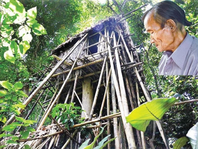 Nhà của con trai “người rừng” (ảnh trái); “Người rừng” cha ngày ngày buồn bã ngóng về rừng sâu.