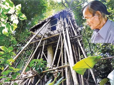 Nhà của con trai “người rừng” (ảnh trái); “Người rừng” cha ngày ngày buồn bã ngóng về rừng sâu. Nhà của con trai “người rừng” (ảnh trái); “Người rừng” cha ngày ngày buồn bã ngóng về rừng sâu.