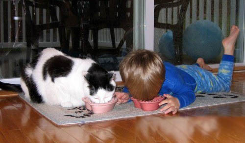 Để xem ai ăn nhanh hơn! Để xem ai ăn nhanh hơn!