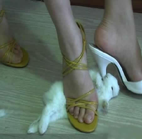 Đối lập với những hành động đẹp đẽ, ngập tràn tình yêu thương ở trên, một loạt hình ngược đãi động vật được tung lên Facebook khiến người ta cảm thấy ghê rợn.