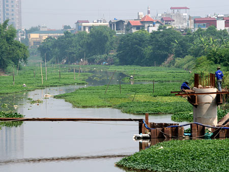 ảnh minh họa (nguồn Internet)