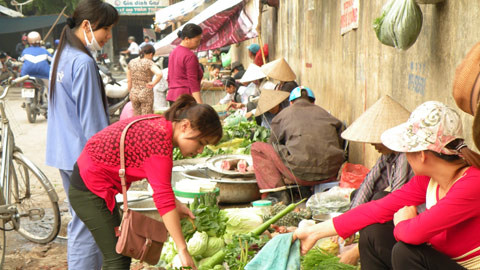 Ảnh minh họa. (Nguồn: Internet)