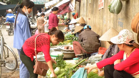 Ảnh minh họa. (Nguồn: Internet)