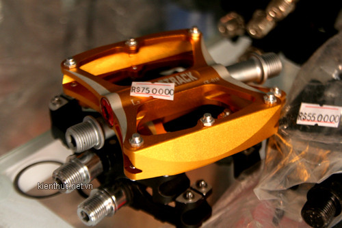 Một cái pê đan cũng có giá gần triệu đồng