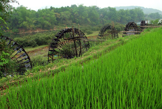 Không chỉ là một công cụ thủy lợi, một bản sắc văn hóa độc đáo, những chiếc cọn nước còn như một chứng nhân muôn đời của nền văn minh lúa nước khi con người tiến lên non cao (Ảnh: Internet). Không chỉ là một công cụ thủy lợi, một bản sắc văn hóa độc đáo, những chiếc cọn nước còn như một chứng nhân muôn đời của nền văn minh lúa nước khi con người tiến lên non cao (Ảnh: Internet).