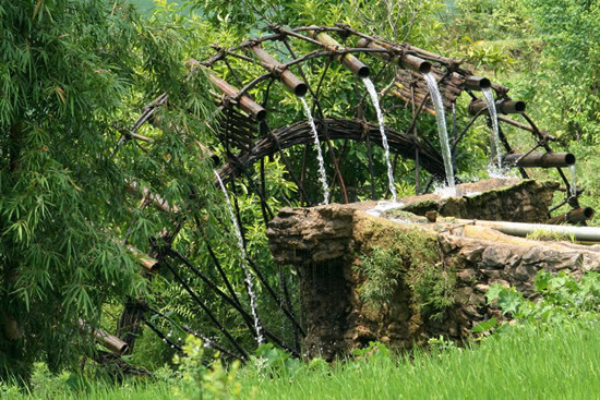 Quan trọng nhất đối với mỗi chiếc cọn nước là việc đặt và bố trí những ống đựng nước trên thân cọn. Thông thường mỗi ống đựng nước thường được buộc kèm chéo theo mỗi cánh quạt nước và phải buộc tất cả các ống cùng nghiêng một độ nhất định thì mới khiến cọn không bị lỗi nhịp khi guồng nước (Ảnh: Internet). Quan trọng nhất đối với mỗi chiếc cọn nước là việc đặt và bố trí những ống đựng nước trên thân cọn. Thông thường mỗi ống đựng nước thường được buộc kèm chéo theo mỗi cánh quạt nước và phải buộc tất cả các ống cùng nghiêng một độ nhất định thì mới khiến cọn không bị lỗi nhịp khi guồng nước (Ảnh: Internet).