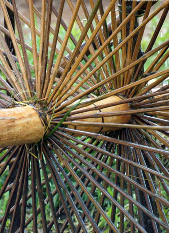 Để một chiếc cọn được bền, người ta sẽ chọn một thanh gỗ chính để làm trục giữa của cọn, thanh gỗ này phải là loại gỗ vừa nhẹ, vừa bền và có khả năng chịu nước tốt (Ảnh: Internet). Để một chiếc cọn được bền, người ta sẽ chọn một thanh gỗ chính để làm trục giữa của cọn, thanh gỗ này phải là loại gỗ vừa nhẹ, vừa bền và có khả năng chịu nước tốt (Ảnh: Internet).