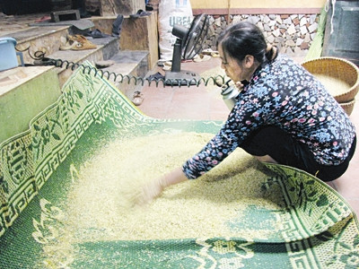 Nồm ẩm dễ khiến các thực phẩm hạt nhiễm nấm mốc và sinh độc tố Alfatoxin gây ung thư. Ảnh: Nguyễn Hoài. Nồm ẩm dễ khiến các thực phẩm hạt nhiễm nấm mốc và sinh độc tố Alfatoxin gây ung thư. Ảnh: Nguyễn Hoài.