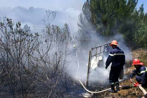 Hiện trường vụ cháy tại công viên Bà Huyện Thanh Quan. Hiện trường vụ cháy tại công viên Bà Huyện Thanh Quan.