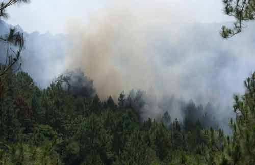 Vụ cháy bùng phát mạnh, kiểm lâm và người dân bất lực do phương tiện chữa cháy thô sơ. Vụ cháy bùng phát mạnh, kiểm lâm và người dân bất lực do phương tiện chữa cháy thô sơ.