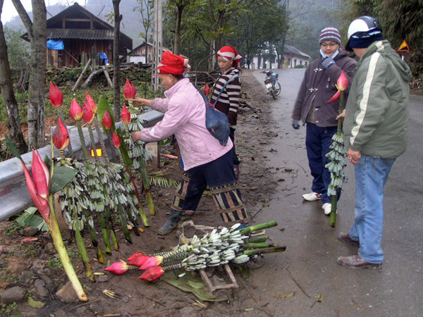 Điểm bán hoa chuối rừng Tòng Sành. Điểm bán hoa chuối rừng Tòng Sành.