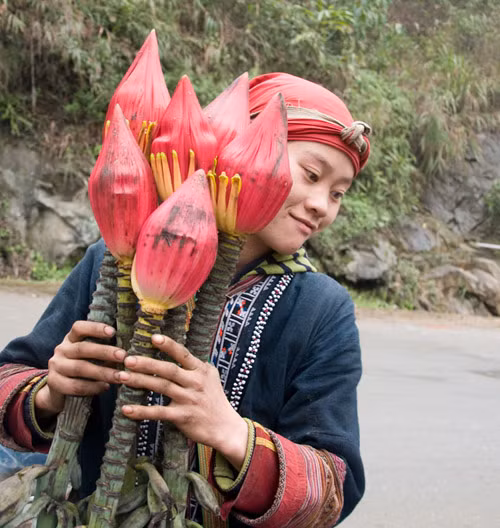 Cô gái người Dao đỏ Tẩn Sử Mẩy ở bản Vàng Chải, xã Tòng Sành phấn khởi khi được khách mua một bó.