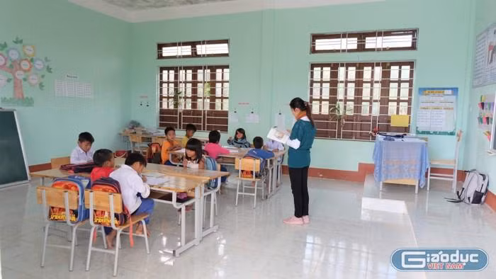 gdvn-pangang-Lại Cường.jpg