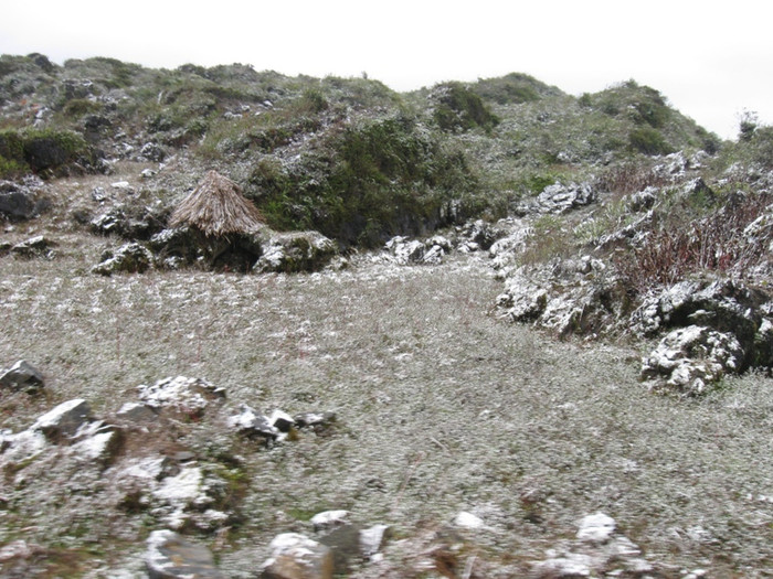 Tuyết rơi trắng từng nương ngô và trên sườn núi