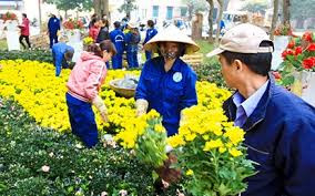 Ảnh minh họa Ảnh minh họa