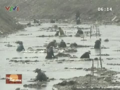 Theo ông Adul, chỉ có dân làng mới được phép đào vàng trên con sông này. Những người hy vọng đổi đời chủ yếu là nông dân, trung bình họ kiếm được 10 USD/ngày từ việc đãi vàng, cá biệt có người kiếm được tới 10.000 baht, tương đương hơn 300 USD/ngày.