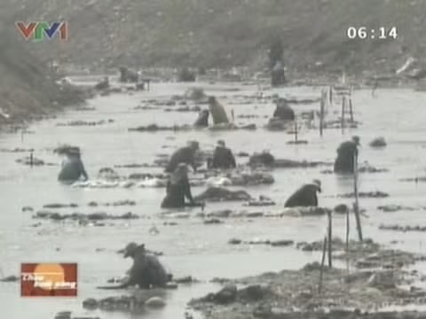 Theo ông Adul, chỉ có dân làng mới được phép đào vàng trên con sông này. Những người hy vọng đổi đời chủ yếu là nông dân, trung bình họ kiếm được 10 USD/ngày từ việc đãi vàng, cá biệt có người kiếm được tới 10.000 baht, tương đương hơn 300 USD/ngày. Theo ông Adul, chỉ có dân làng mới được phép đào vàng trên con sông này. Những người hy vọng đổi đời chủ yếu là nông dân, trung bình họ kiếm được 10 USD/ngày từ việc đãi vàng, cá biệt có người kiếm được tới 10.000 baht, tương đương hơn 300 USD/ngày.