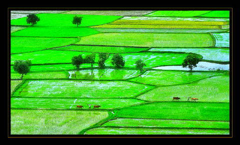 Đồi Tà Pạ, An Giang.