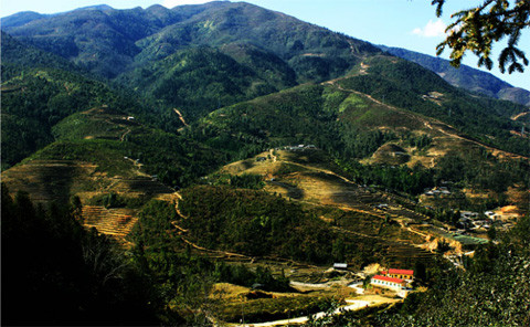 Đường lên bản Sà Lùng Sapa.