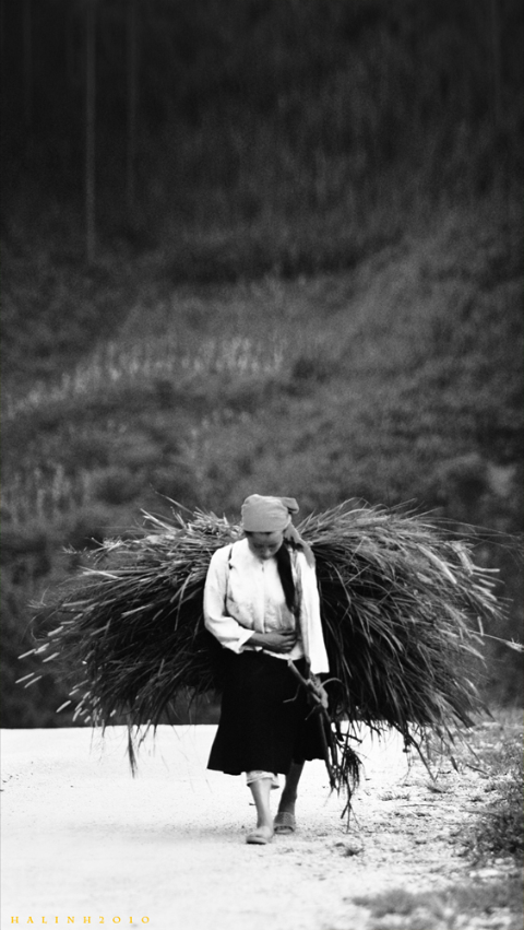 Bức ảnh ghi lại ở Đồng Văn, Hà Giang.