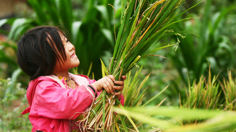 Em bé ở Đồng Văn, Hà Giang.
