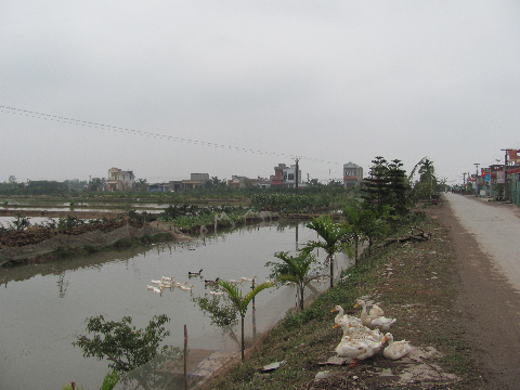 Đúng là cảnh buồn như mùa đông nông thôn Đúng là cảnh buồn như mùa đông nông thôn