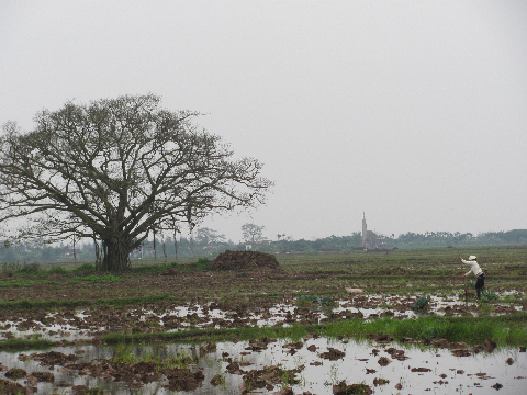 Mới mùng 3 Tết, đã có người dân xuống đồng Mới mùng 3 Tết, đã có người dân xuống đồng