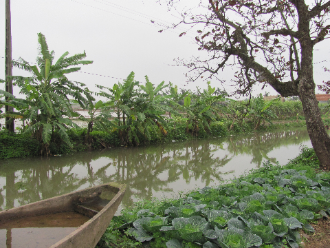 Vẻ đẹp buồn ở con mương cuối làng Vẻ đẹp buồn ở con mương cuối làng