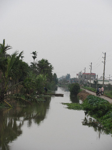 Nước lặng mùa đông ở con mương làng Nước lặng mùa đông ở con mương làng
