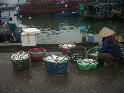 cho về những giỏ đầy ắp cá, tôm