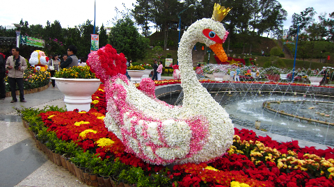 Cô nàng thiên nga được làm bằng hoa.