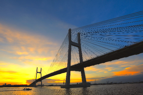 TP HCM hội nhập và phát triển, chiều trên cây cầu mới của thành phố. TP HCM hội nhập và phát triển, chiều trên cây cầu mới của thành phố.