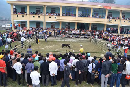 Sau thành công giải chọi dê thí điểm tại xã Bản Péo, huyện Hoàng Su Phì (Hà Giang) tiếp tục tổ chức thành công hội thi chọi dê cụm xã Thông Nguyên. Tham dự giải gồm có 24 “đấu sỹ” dê ở 3 hạng cân từ 31 - 35kg, 36 - 40 kg, và 41 - 50 kg đến từ các xã Thông Nguyên, Nậm Dịch, Nậm Ty, Nam Sơn, Nậm Khoà, Bản Péo. Mặc dù là lần đầu tiên tổ chức nhưng giải hội thi chọi dê đã nhận được sự ủng hộ nhiệt tình từ phía chính quyền các cấp, các ngành và đông đảo bà con nhân dân. .(Đông nghịt những khán giả đến xem hội chọi dê ở xã Bản Péo)