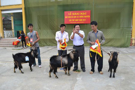 Trao giải Trao giải