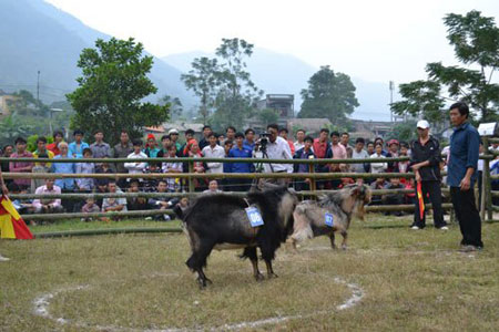 Không được chạy Không được chạy