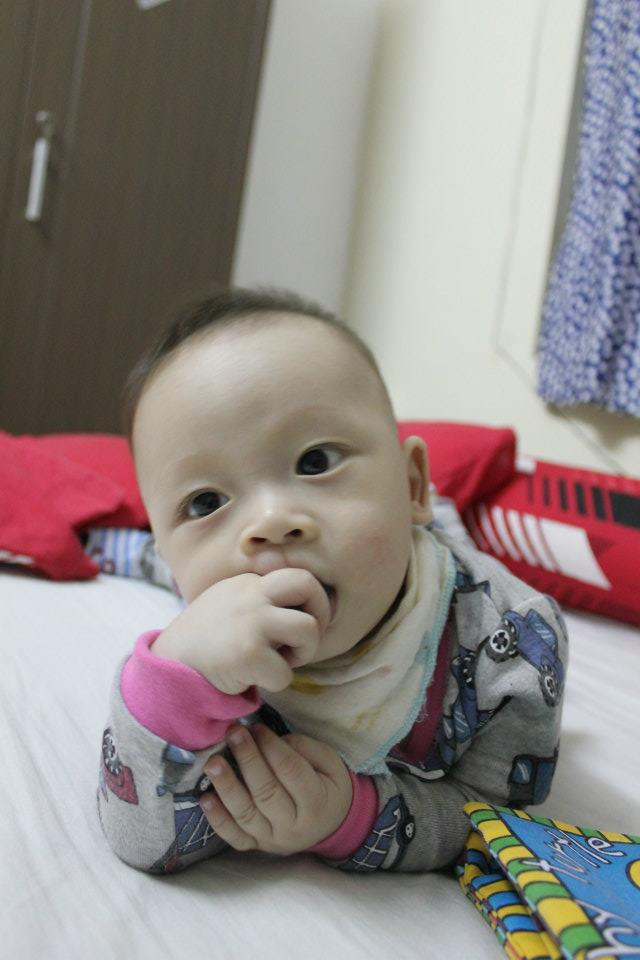 Bé Ken mới được 10 tháng tuổi nhưng Ken rất hiếu động Bé Ken mới được 10 tháng tuổi nhưng Ken rất hiếu động