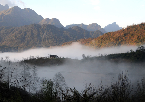 Ô Quý Hồ trong sương mai. Ô Quý Hồ trong sương mai.