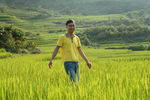 Lữ khách say nồng hương lúa ruộng bậc thang.