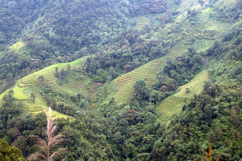 giữa trập trùng dốc đèo là những bản làng yên bình thấp thoáng bên những cánh rừng nguyên sinh nghìn năm tuổi. (Núi rừng được điểm bởi những thửa ruộng bậc thang).