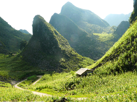 Nghiêng nghiêng Pải Lùng (Hà Giang). Nghiêng nghiêng Pải Lùng (Hà Giang).