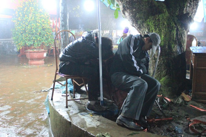 Gốc cây cũng là nơi nâng giấc say nồng.