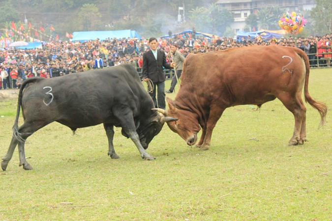 Giằng co Giằng co