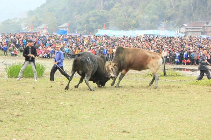 Quyết liệt Quyết liệt