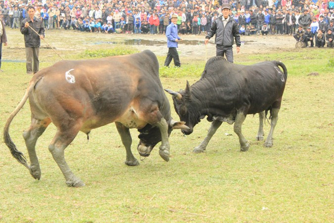 Đến giây phút cuối cùng Đến giây phút cuối cùng