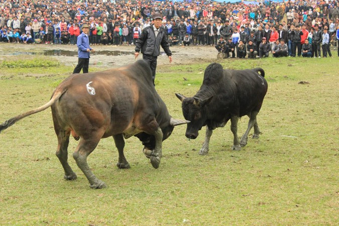 Thi triển các miếng đánh. Thi triển các miếng đánh.