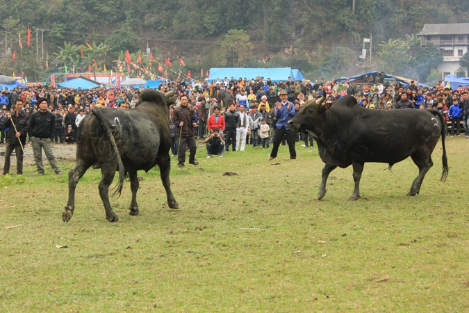 Thăm dò đối thủ Thăm dò đối thủ