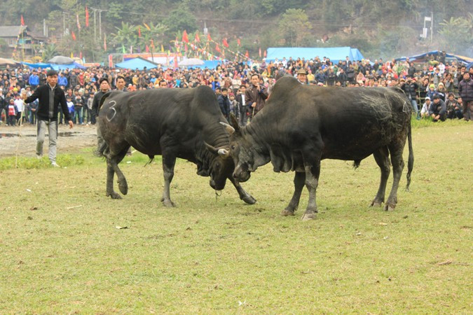 Vào cuộc ngay. Vào cuộc ngay.